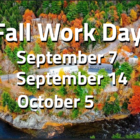 Fall Work Days